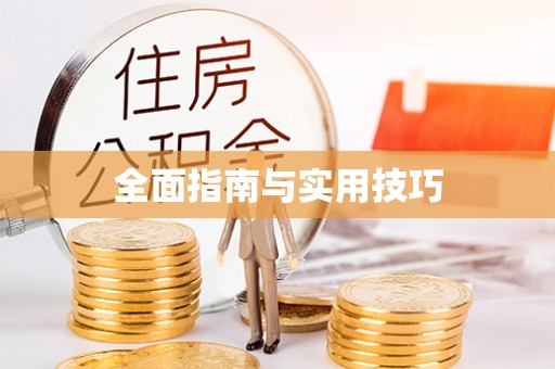 射阳全面指南与实用技巧