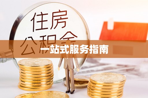 射阳一站式服务指南