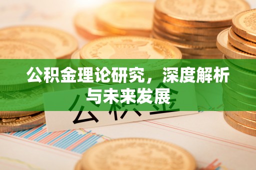 射阳公积金理论研究，深度解析与未来发展