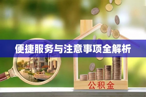 射阳便捷服务与注意事项全解析