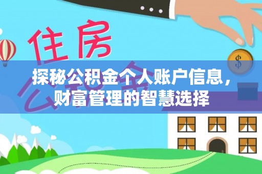 射阳探秘公积金个人账户信息，财富管理的智慧选择
