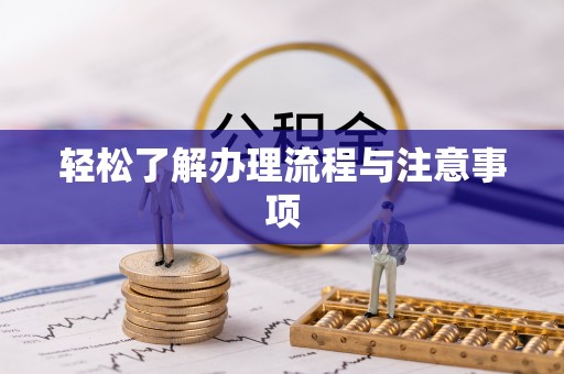 射阳轻松了解办理流程与注意事项