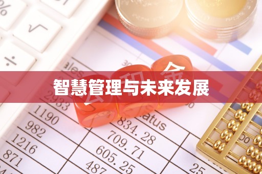 射阳智慧管理与未来发展