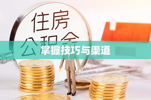 射阳掌握技巧与渠道