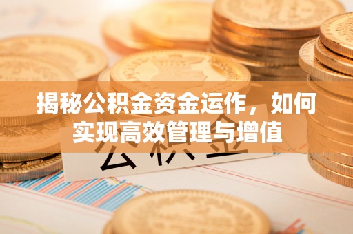 射阳揭秘公积金资金运作，如何实现高效管理与增值