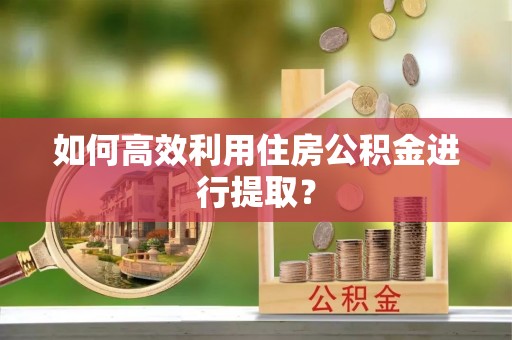 射阳如何高效利用住房公积金进行提取？