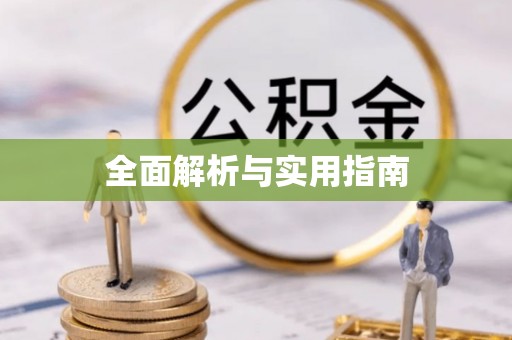 射阳全面解析与实用指南