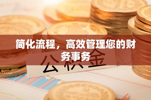 射阳简化流程，高效管理您的财务事务