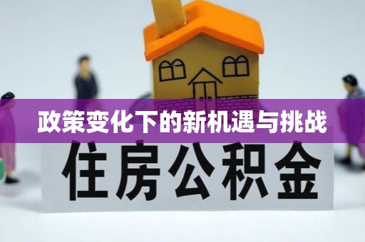 射阳政策变化下的新机遇与挑战