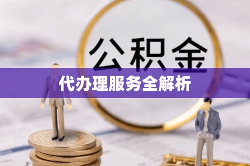 射阳代办理服务全解析