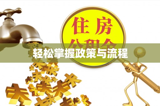 射阳轻松掌握政策与流程