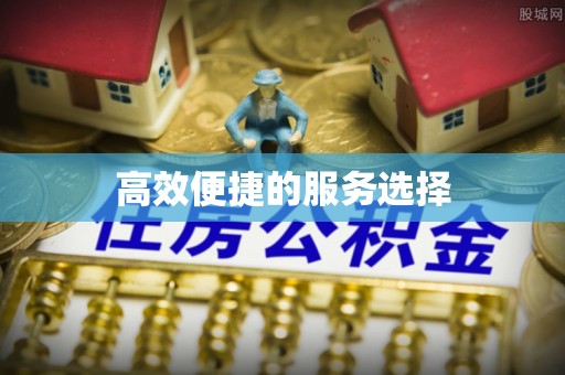 射阳高效便捷的服务选择