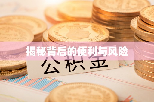 射阳揭秘背后的便利与风险