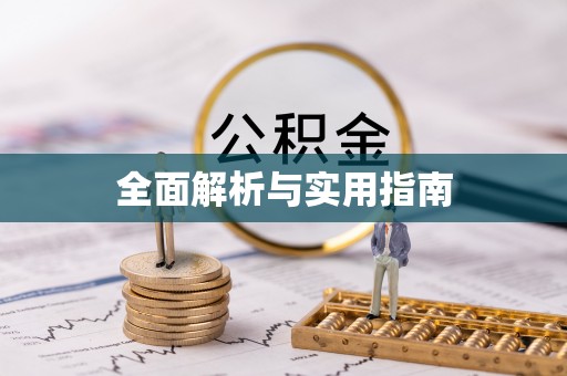 射阳全面解析与实用指南