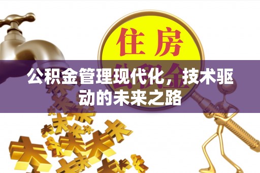 射阳公积金管理现代化，技术驱动的未来之路